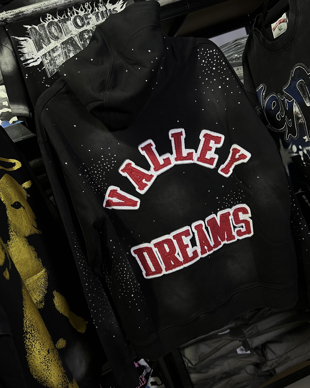 VALLEY DREAM HOODIE